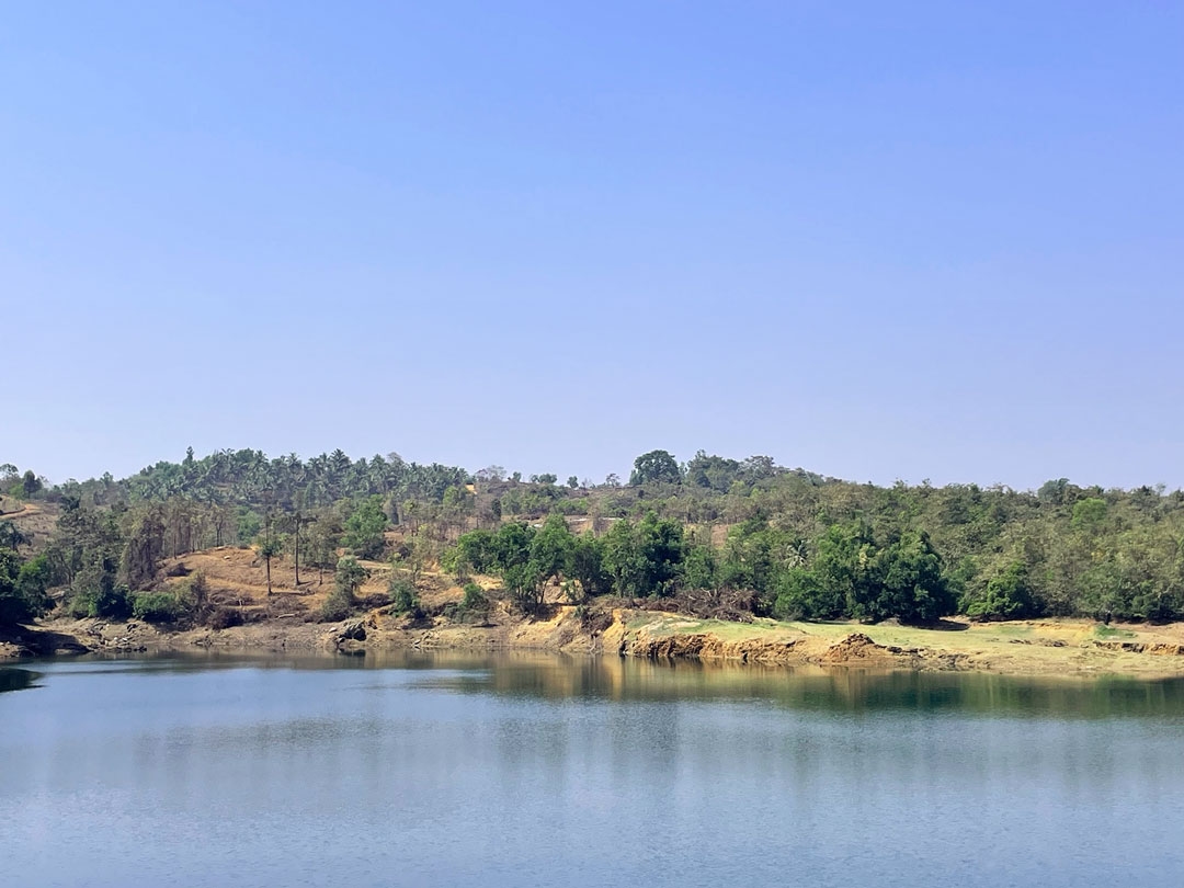 Shaashvat Aranya